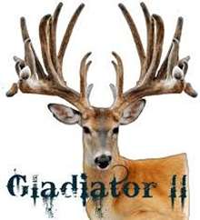 GLADIATOR II